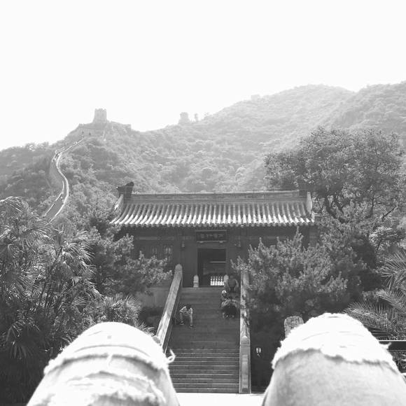 Meet your Posher, Thalia - Picture 1 of 1